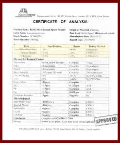 Reishi Sporenpulver Analysenextrakt