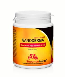 Ganoderma, Duanwood Red Reishi, Extrakt 40% Polysaccharide