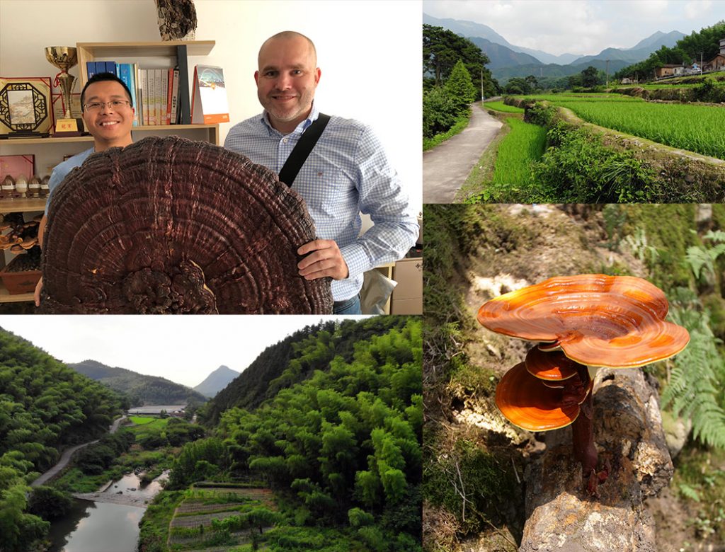 Besuch vom Reishigebiet in China