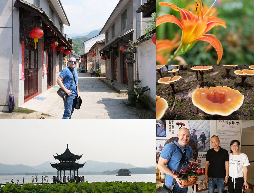 China - Heimatland von Reishipilzen