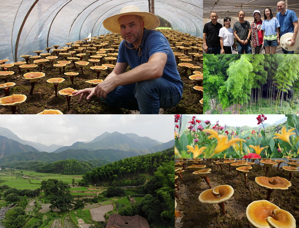 Besuch der Reishiplantage in China