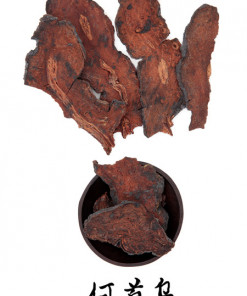 Vielblütiger Knöterich - Getroknete Wurzeln