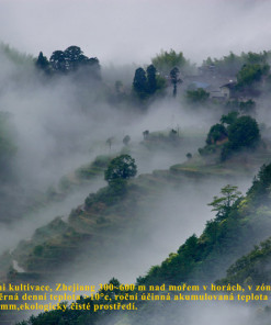 Zheijang in China - wo Reishi wird angebaut