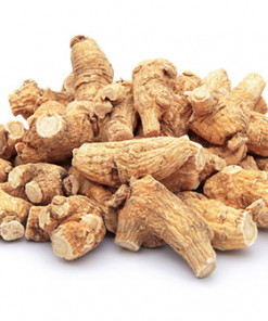 Der sibirischer Ginseng - Wurzeln